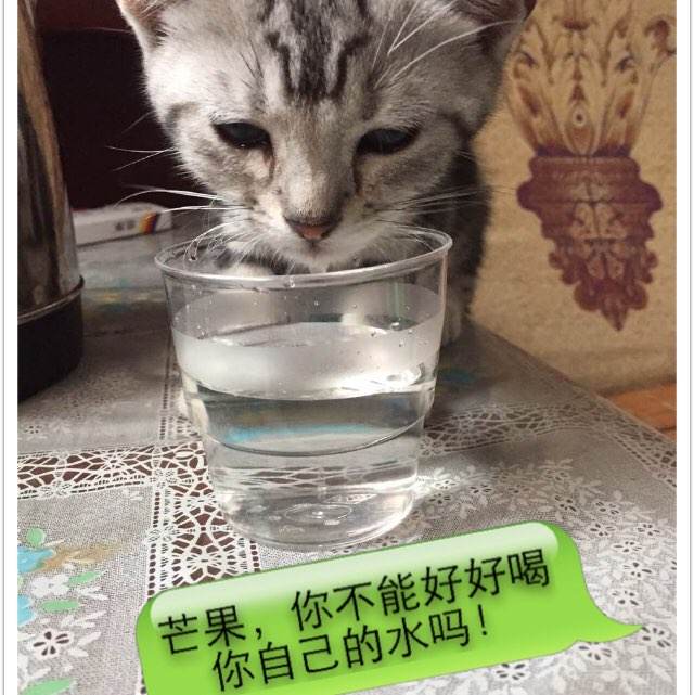 创作艺术大学文凭毕业证成绩认证
